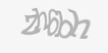 Защитный код