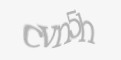 Защитный код