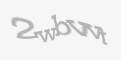 Защитный код