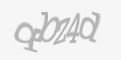 Защитный код