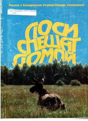Лоси спешат домой