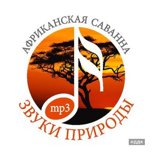 Африканская саванна