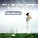 Звуки природы для офиса. Бодрящий дождик