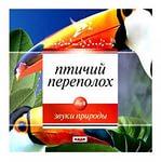 Птичий переполох 
