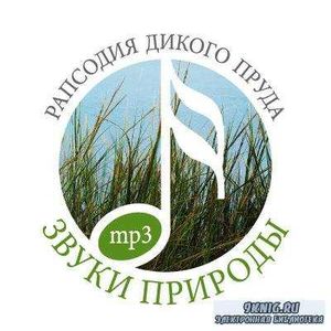 Рапсодия дикого пруда
