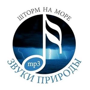Шторм на море 
