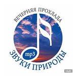 Звуки природы. Здоровый сон у моря