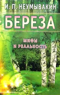 Береза