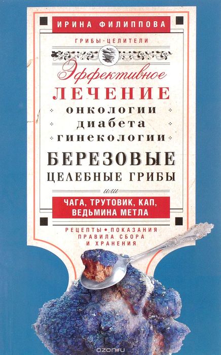 Березовые целебные грибы или Чага, трутовик, кап, ведьмина метла