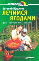 Лечимся ягодами
