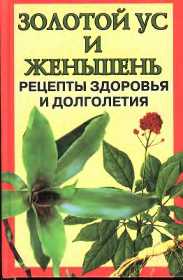 Золотой ус и женьшень 