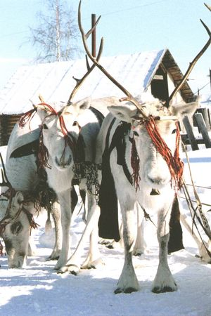 Декабрь