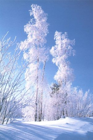 Февраль