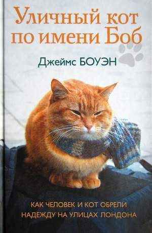 Обложка Уличный кот по имени Боб