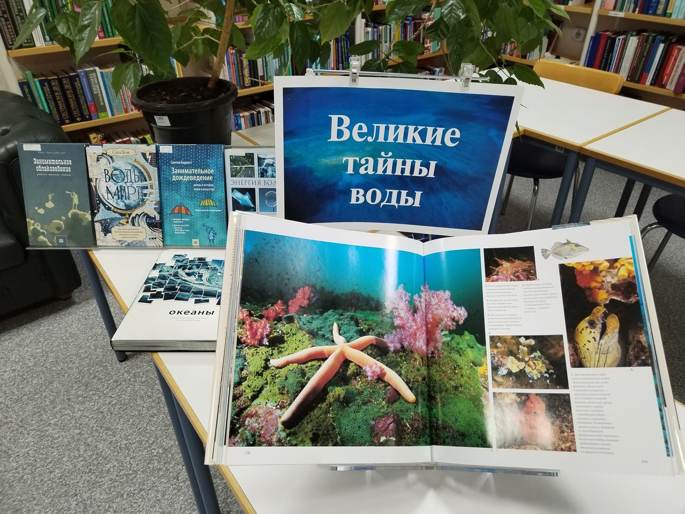 Выставка