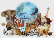 Международный день акций за принятие Декларации прав животных