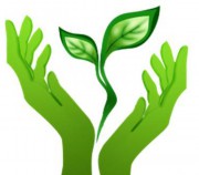 15 апреля - День экологических знаний