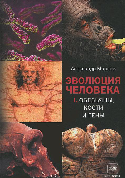 Рождение сложности