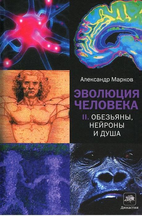 Эволюция человека