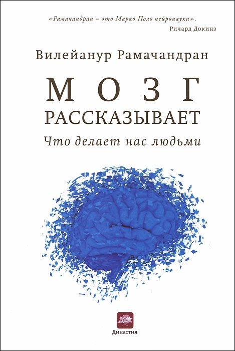 Мозг рассказывает